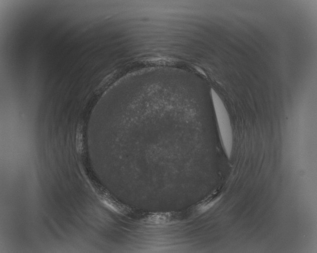 X0000082680080200702161709