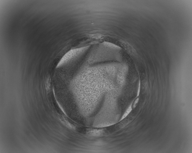 X0000082680081200702161709