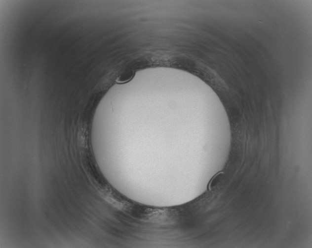 X0000082680083200702161709