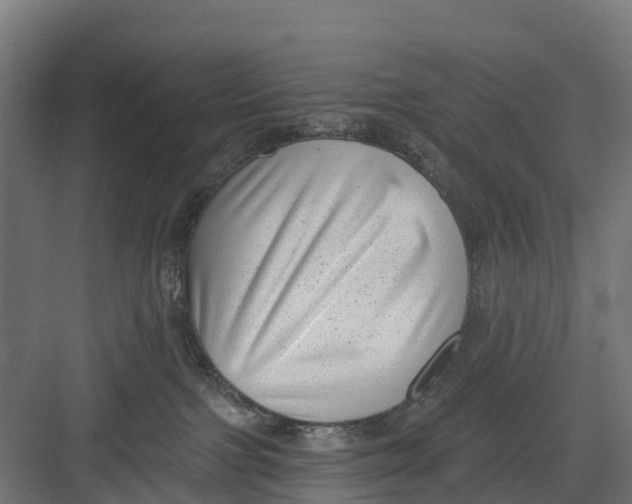 X0000082680091200702161709