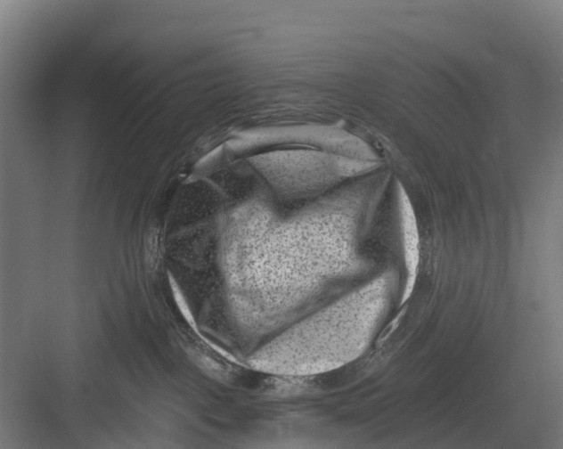 X0000082680093200702161709