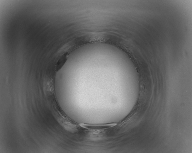 X0000082680096200702161709