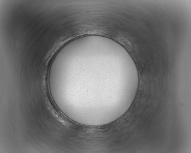 X0000082680098200702161708