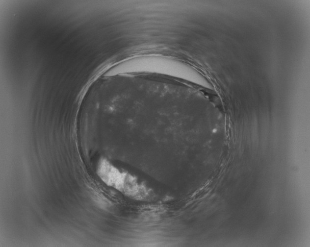 X0000082680099200702161708