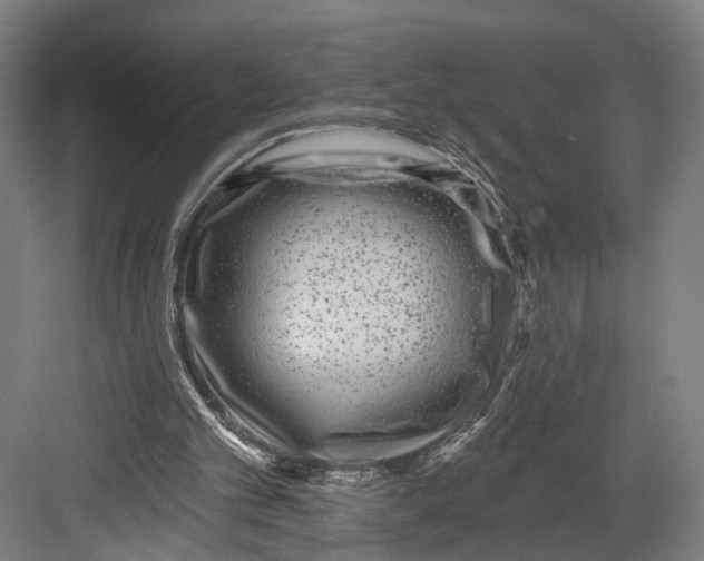 X0000082680101200702161708