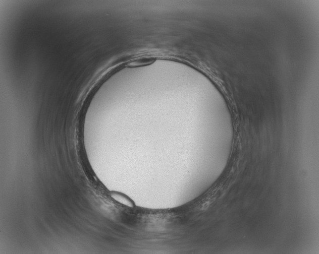 X0000082680103200702161708