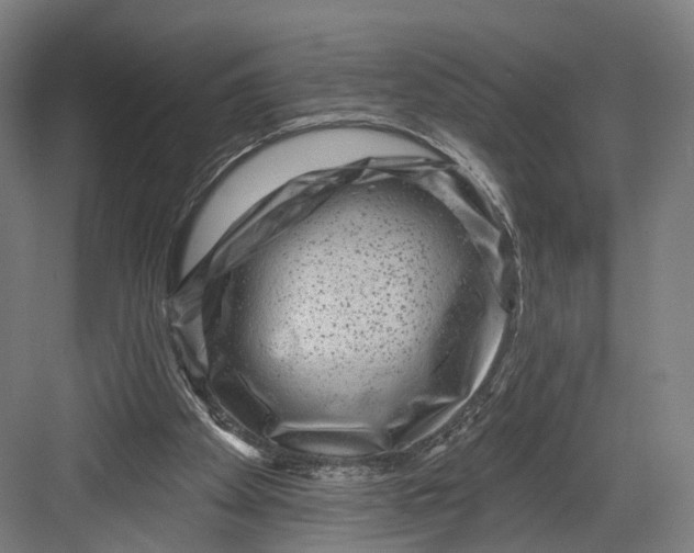 X0000082680105200702161708