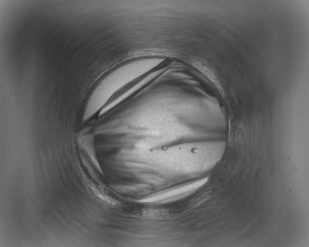 X0000082680109200702161708