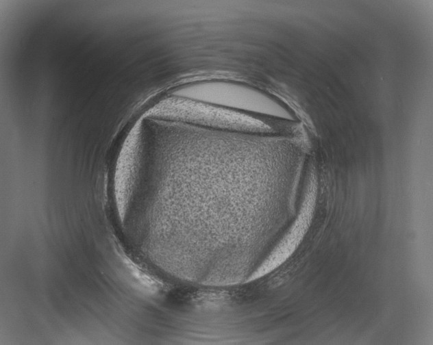 X0000082680110200702161708