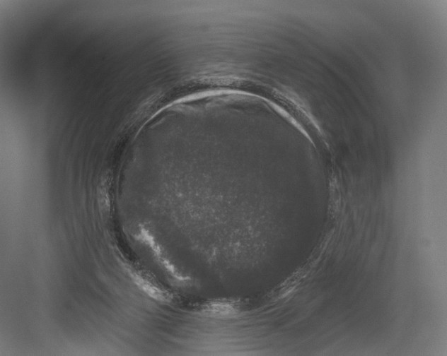 X0000082680114200702161708