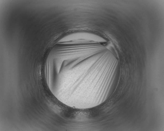 X0000082680115200702161708