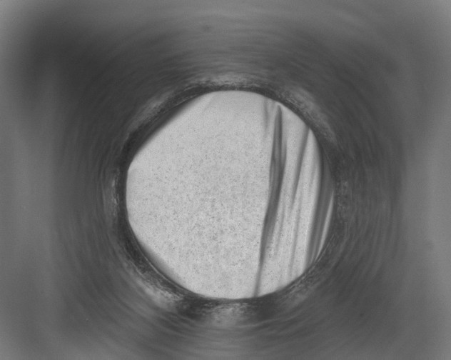 X0000082680116200702161708