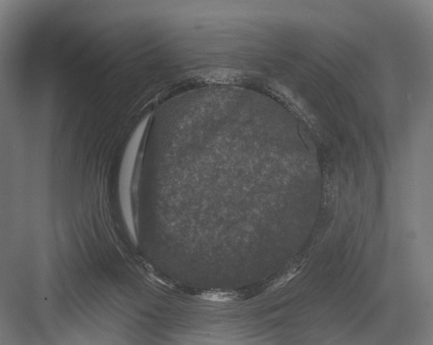 X0000082680117200702161708