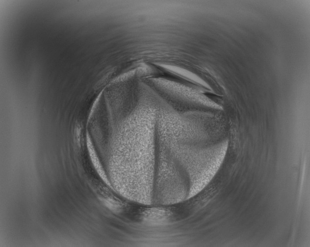 X0000082680123200702161708