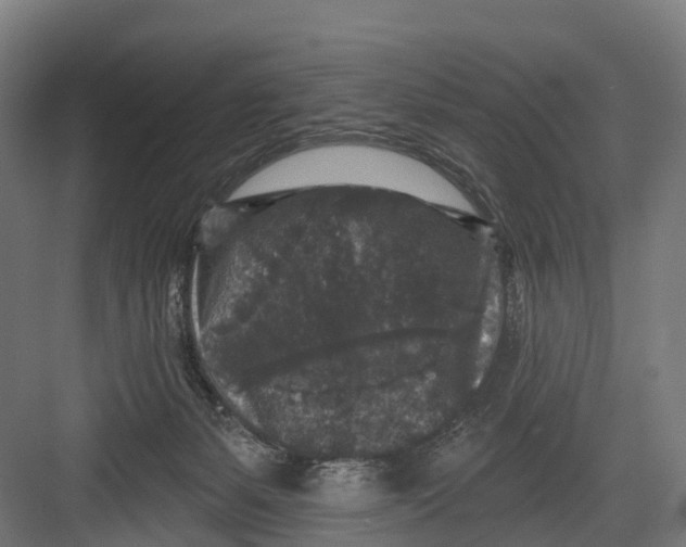 X0000082680127200702161708