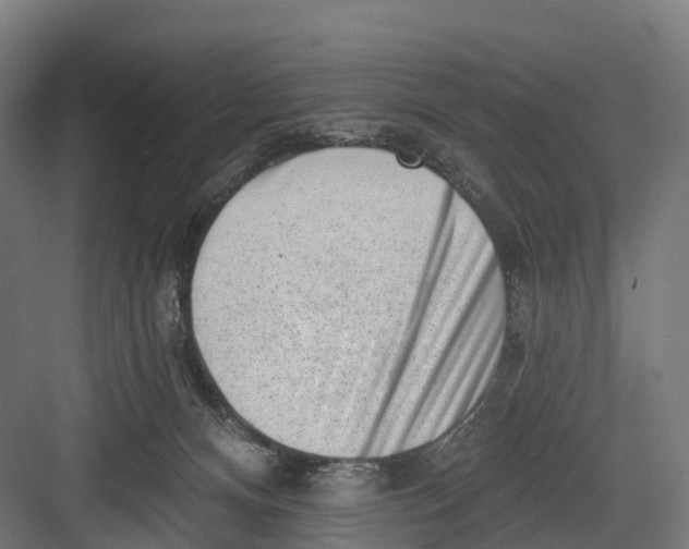 X0000082680128200702161708