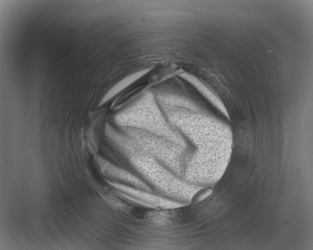 X0000082680131200702161708