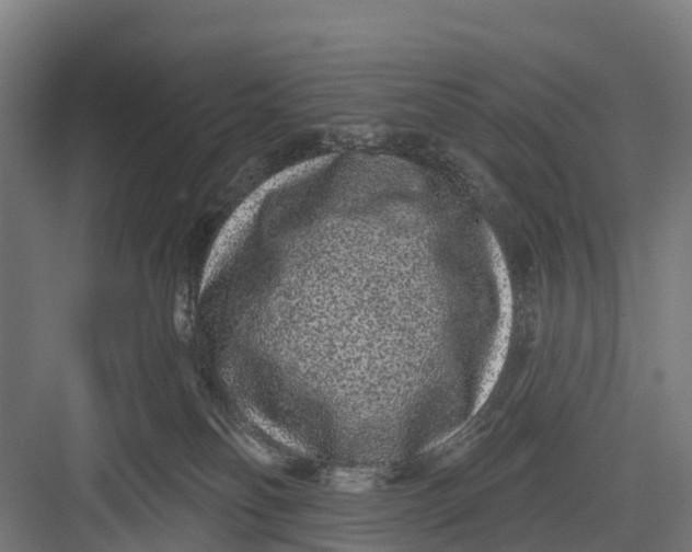 X0000082680134200702161708