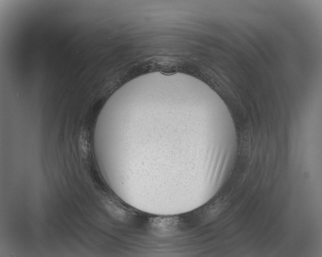 X0000082680135200702161708