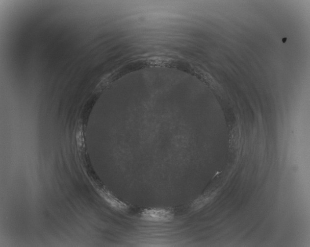 X0000082680137200702161708