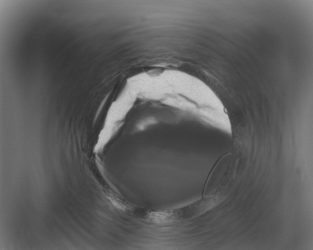 X0000082680139200702161708