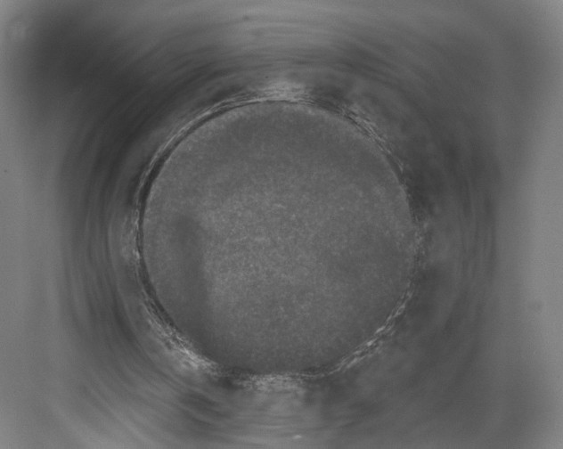 X0000082680146200702161707