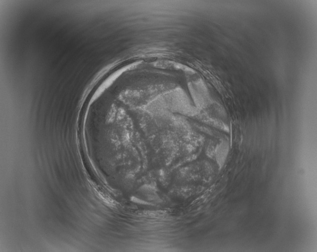 X0000082680147200702161707