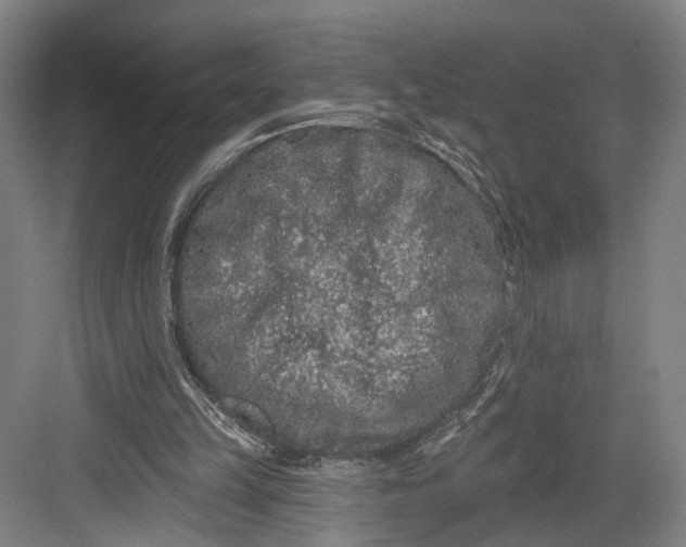 X0000082680149200702161707