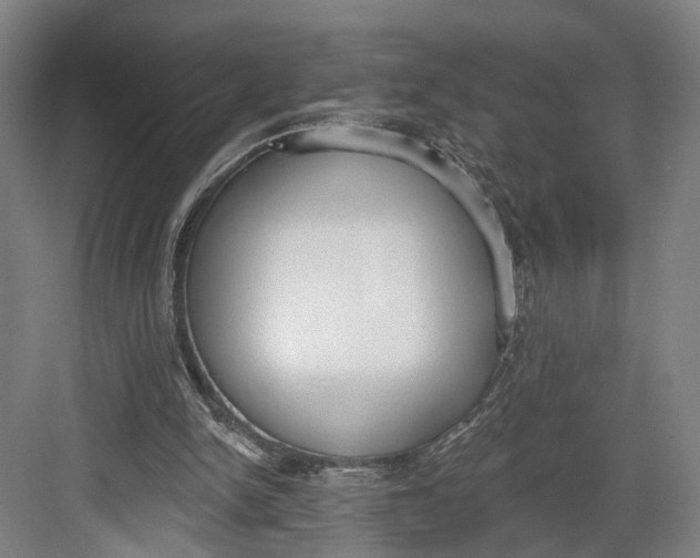 X0000082680150200702161707