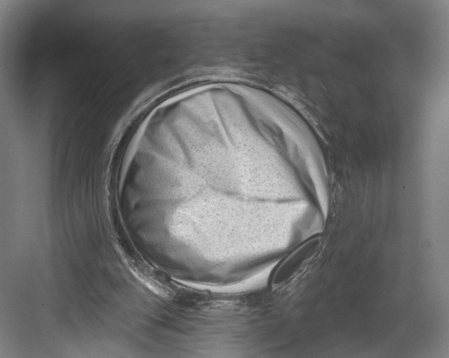 X0000082680151200702161707