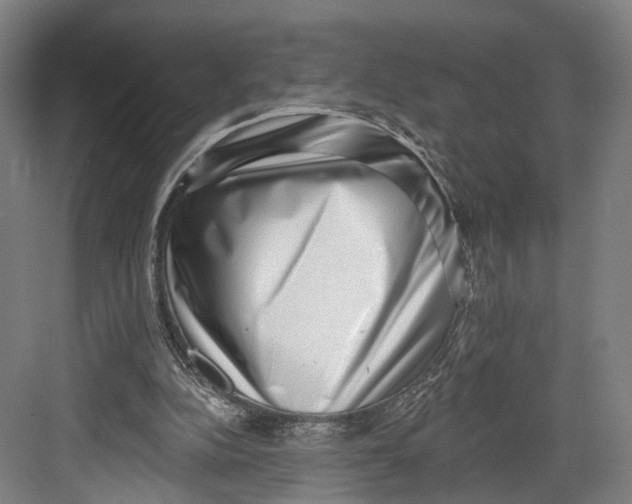 X0000082680152200702161707