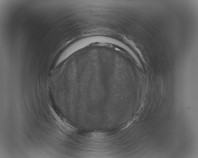 X0000082680154200702161707