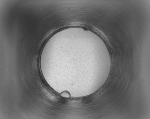 X0000082680155200702161707