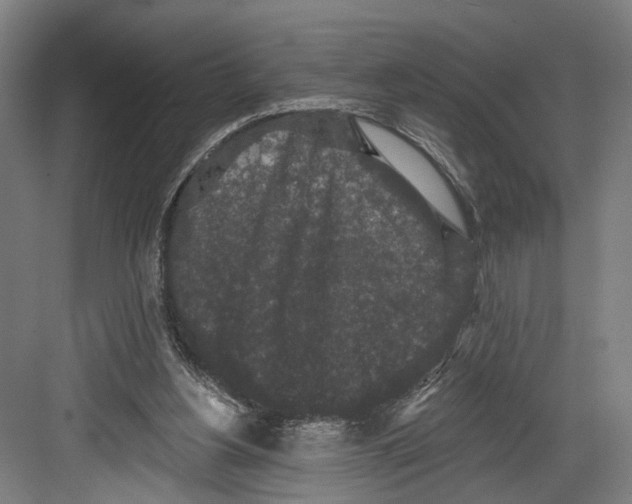 X0000082680156200702161707