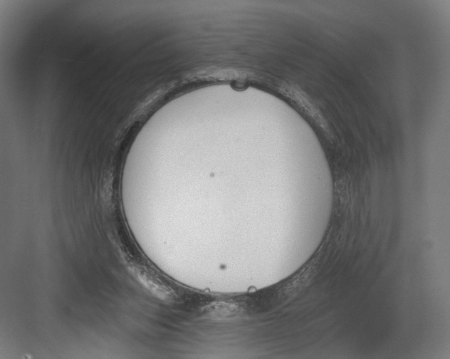 X0000082680159200702161707