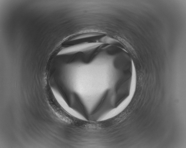 X0000082680160200702161707