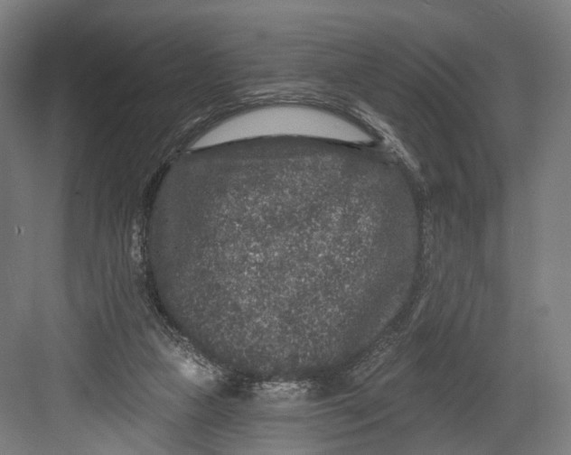 X0000082680161200702161707