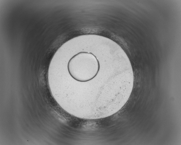 X0000082680162200702161707