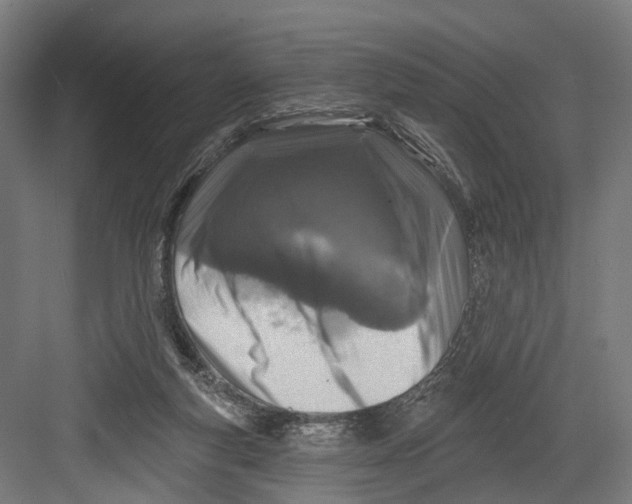 X0000082680163200702161707