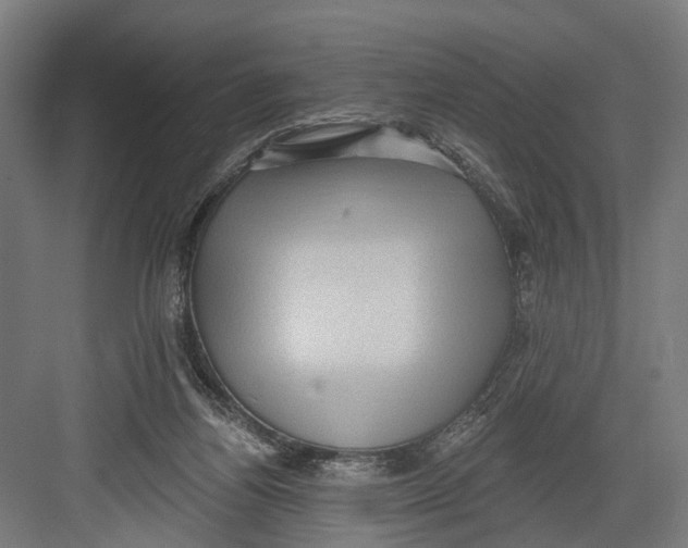 X0000082680164200702161707