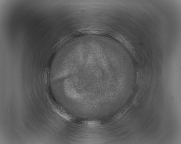 X0000082680165200702161707