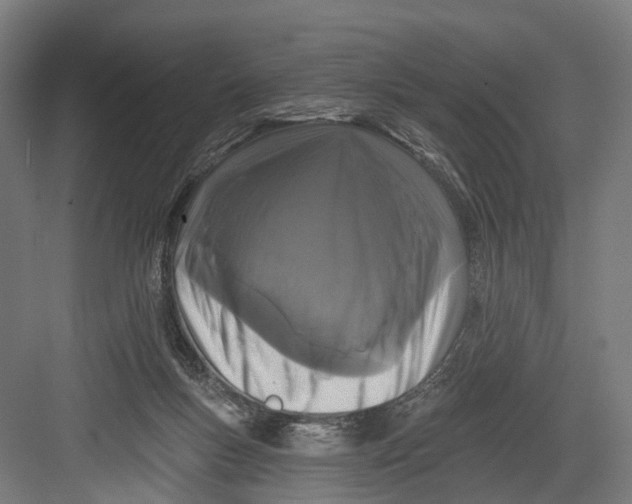 X0000082680167200702161707