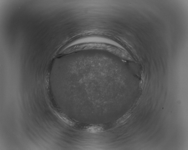 X0000082680168200702161707