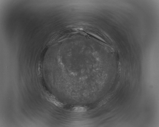 X0000082680169200702161707