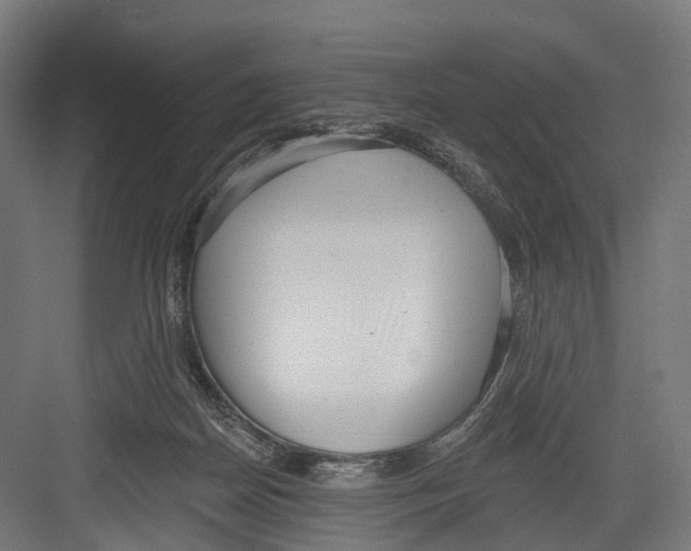 X0000082680170200702161707