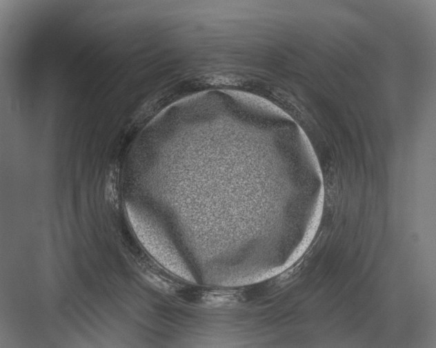 X0000082680175200702161707