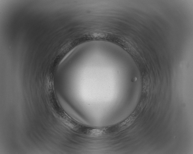 X0000082680176200702161707