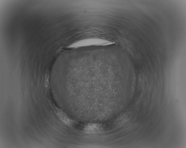 X0000082680177200702161707