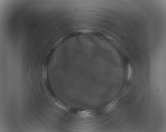 X0000082680180200702161708