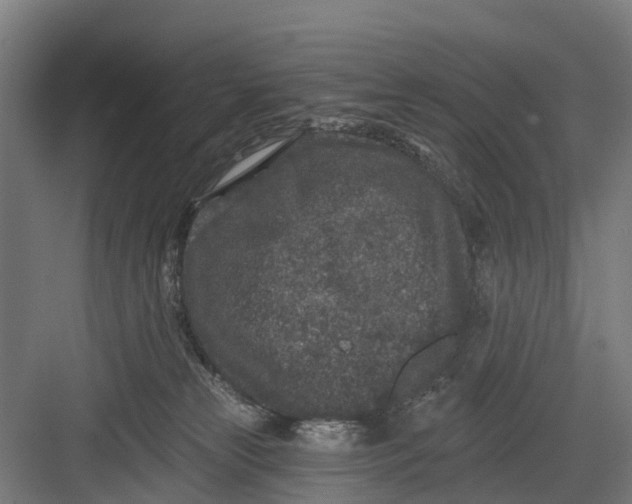 X0000082680181200702161708